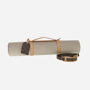 Louis Vuitton Accessories